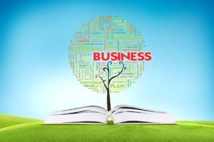 business-marketing-strategy-hvac-leads-pro
